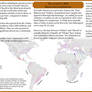The world in 2025, Races and populations