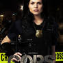 Lana-Parrilla Movie Poster-COPS