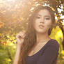 Early Fall