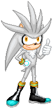 Silver The Hedgehog Video Game GIF