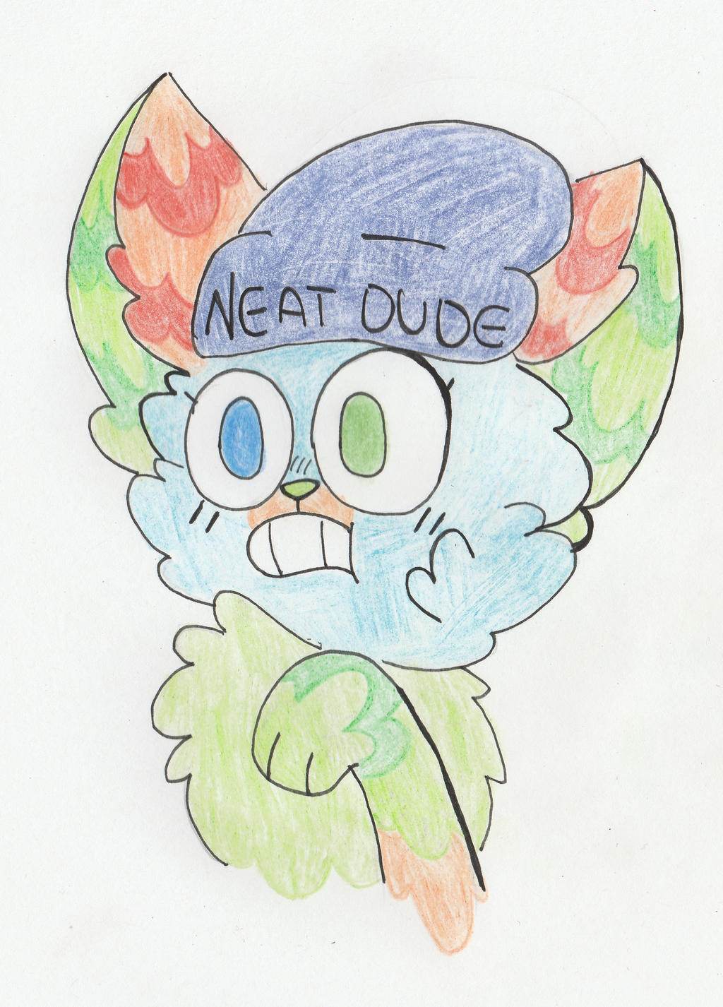 Neat Dude