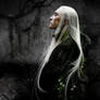 Mirkwood shadow