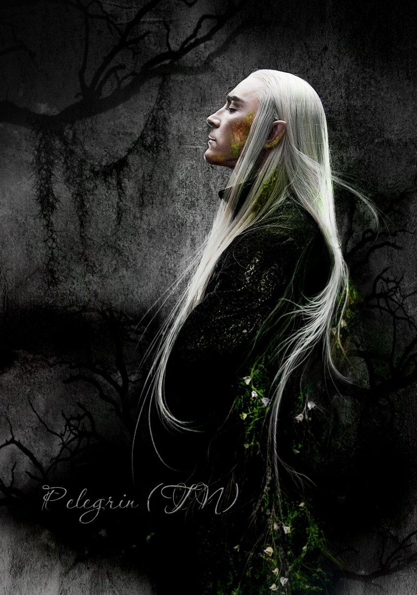 Mirkwood shadow