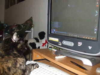 Pickles playing WoW