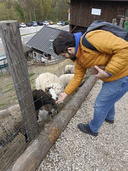 Me feeding the Animals, 1