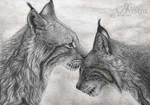 Be My Beloved by AndreasAvester