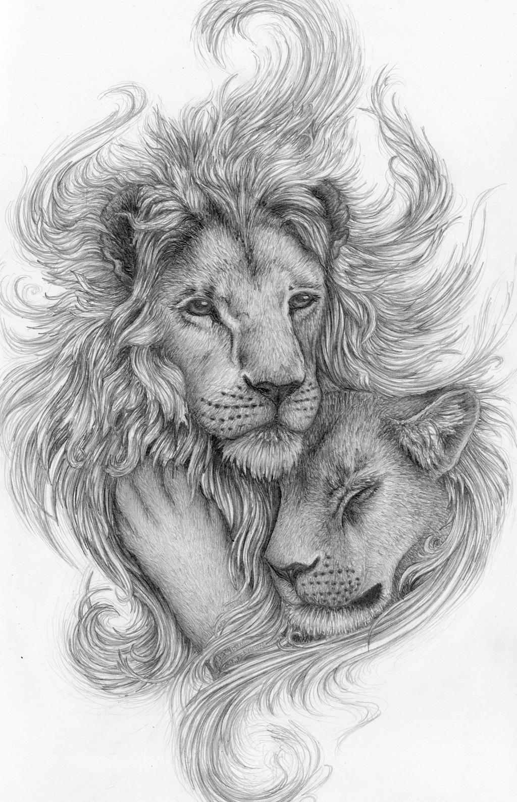 Lions