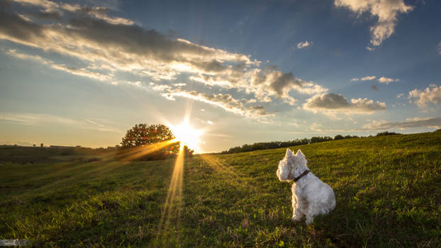 Even She recognizes the beauty of nature