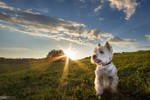 Even She recognizes the beauty of nature II by TomazKlemensak