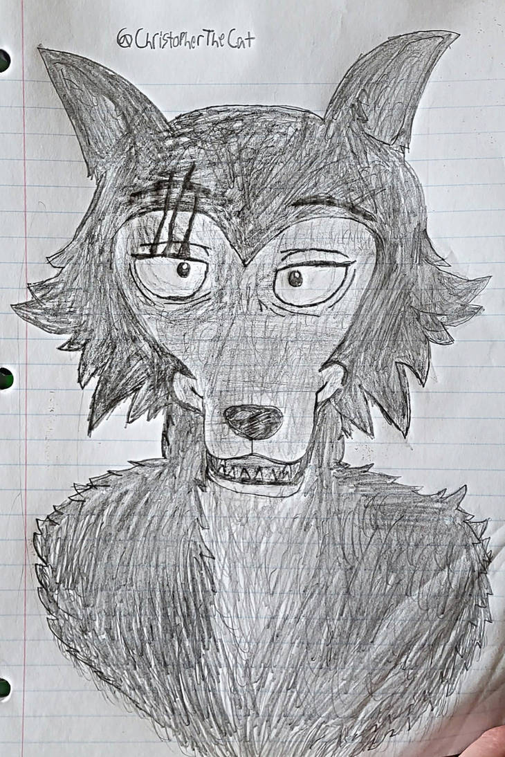 Legoshi from beastars sketch by ChristopherTheCat200 on DeviantArt