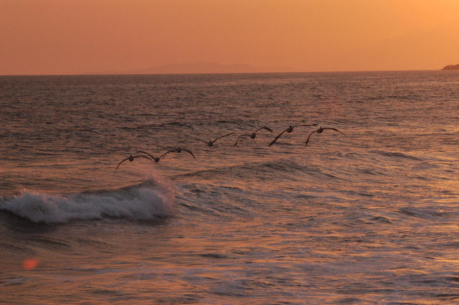 Wave Riders by kayaksailor on DeviantArt