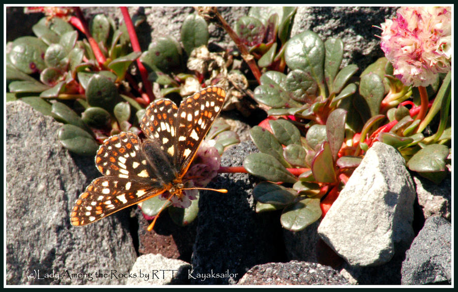 Lady Among the Rocks