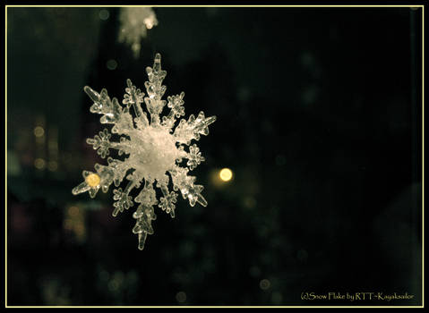 Snow Flake