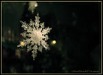 Snow Flake by kayaksailor
