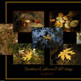 Fall Foliage Collage