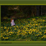 Daffodil Girl