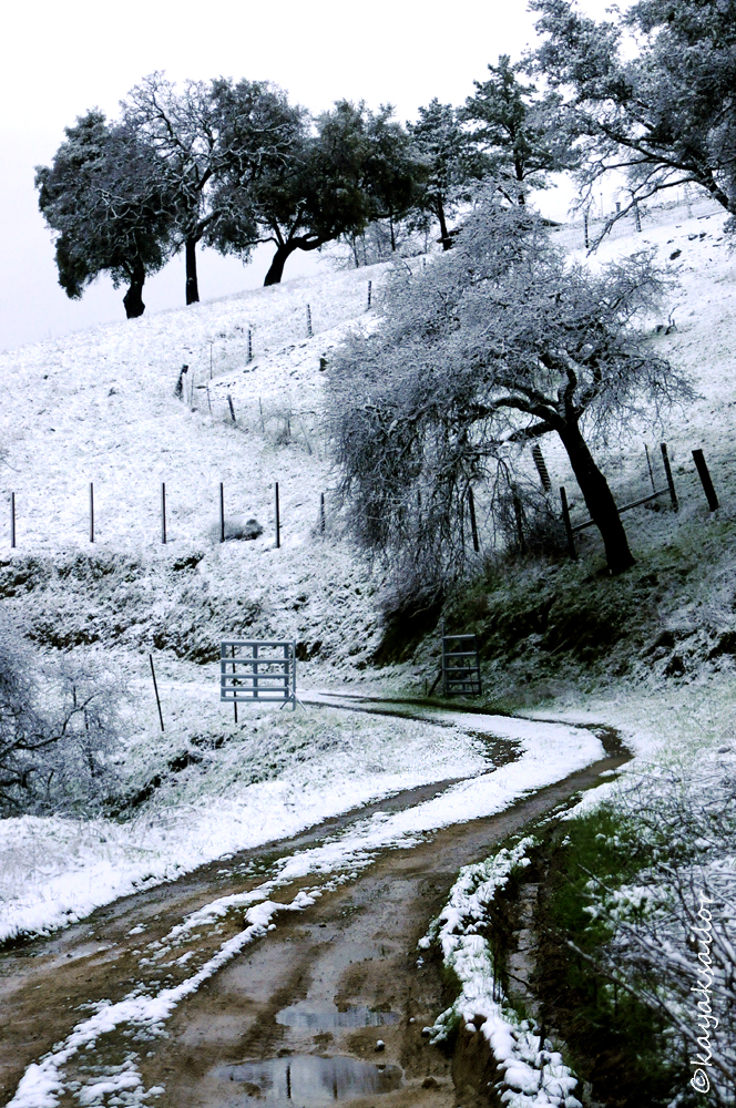 slushy road