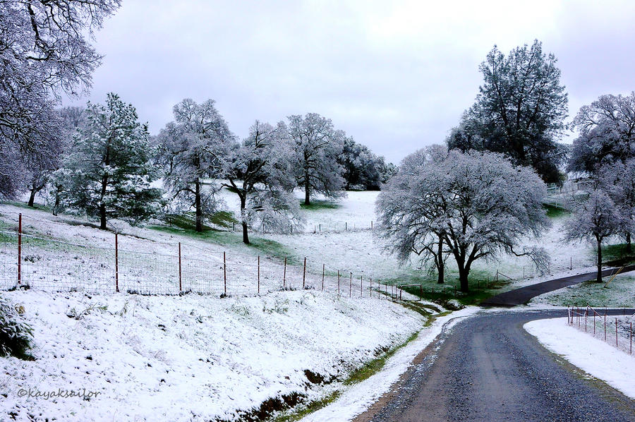 snowy road 1