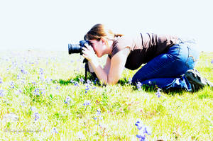 into the flowers by kayaksailor