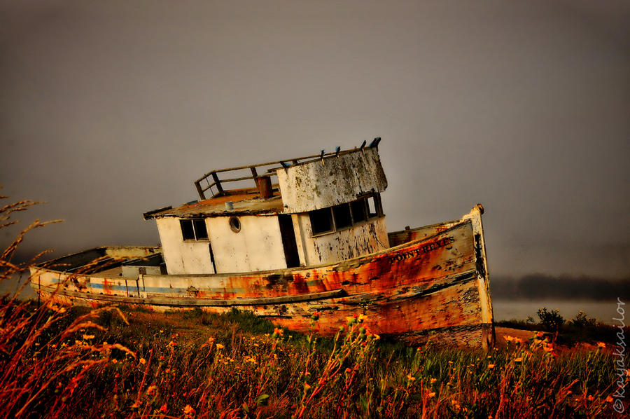 Stock shipwreck