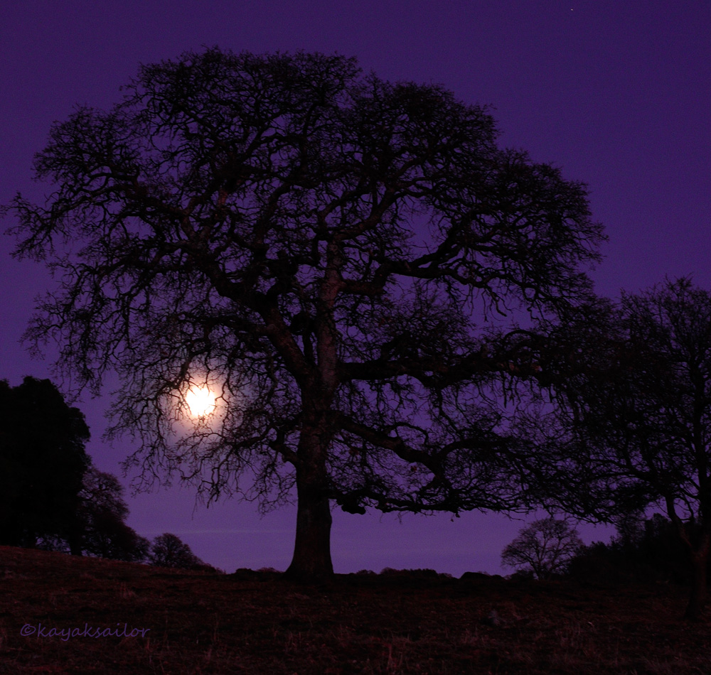 2012 Moonrise