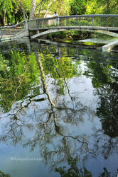 Reflection upon a Spring day by kayaksailor