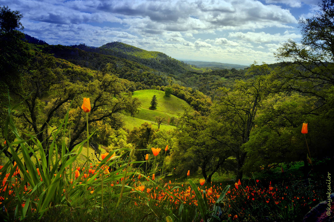 down in the view by kayaksailor on DeviantArt