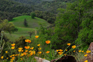 Down in my valley by kayaksailor