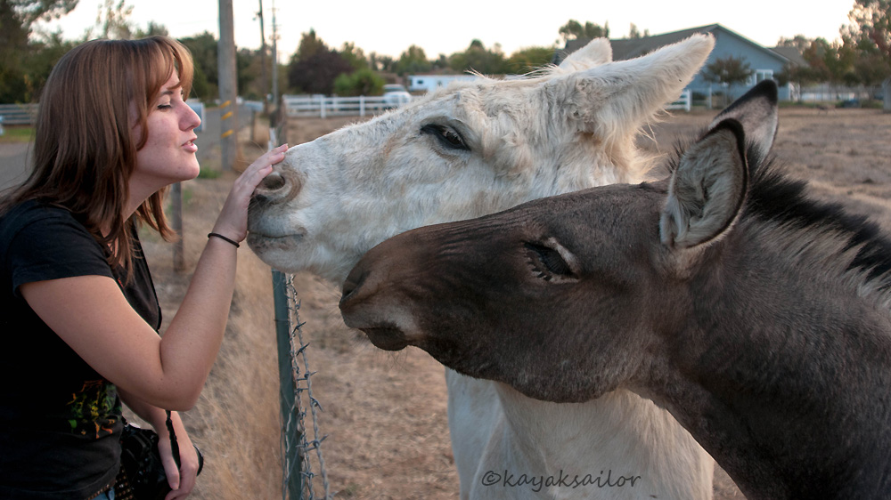 Kissy Face