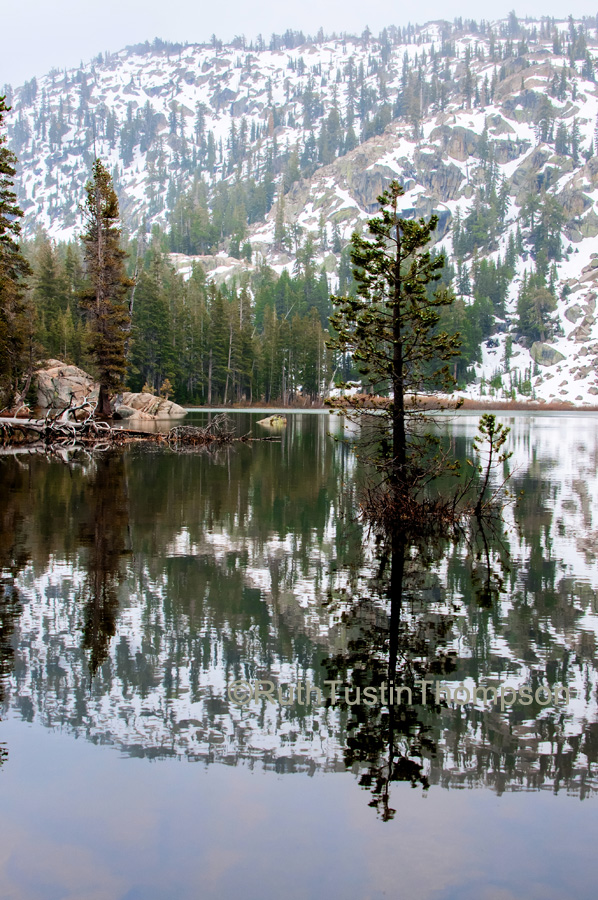 Reflection on a lake