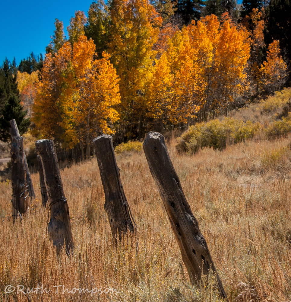 Fence posts