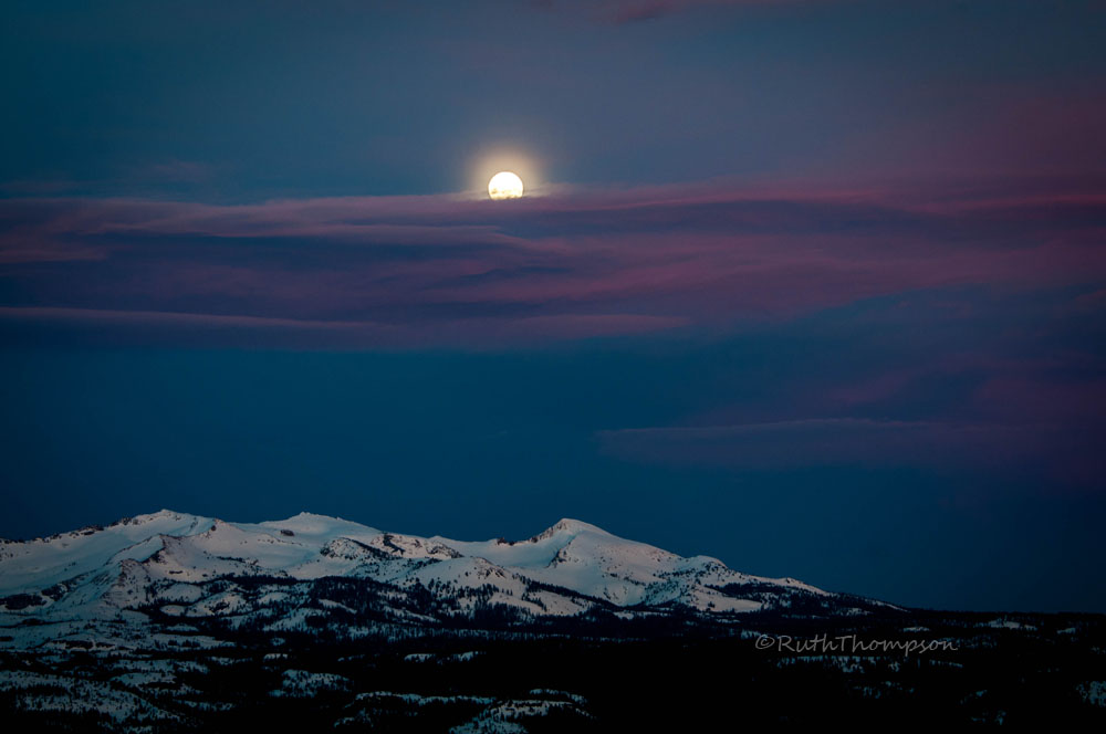 Moon rise in blue