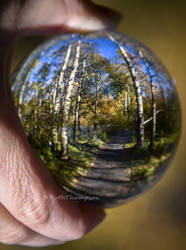 Through the crystal ball