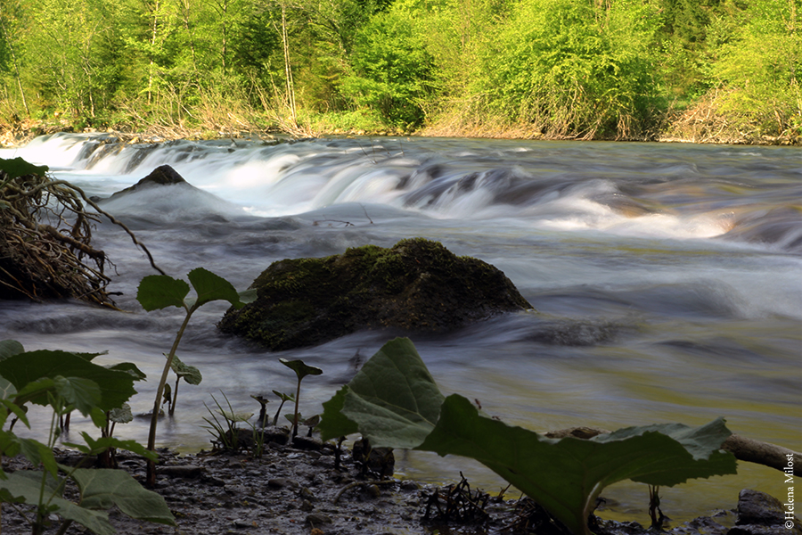 River Kolpa