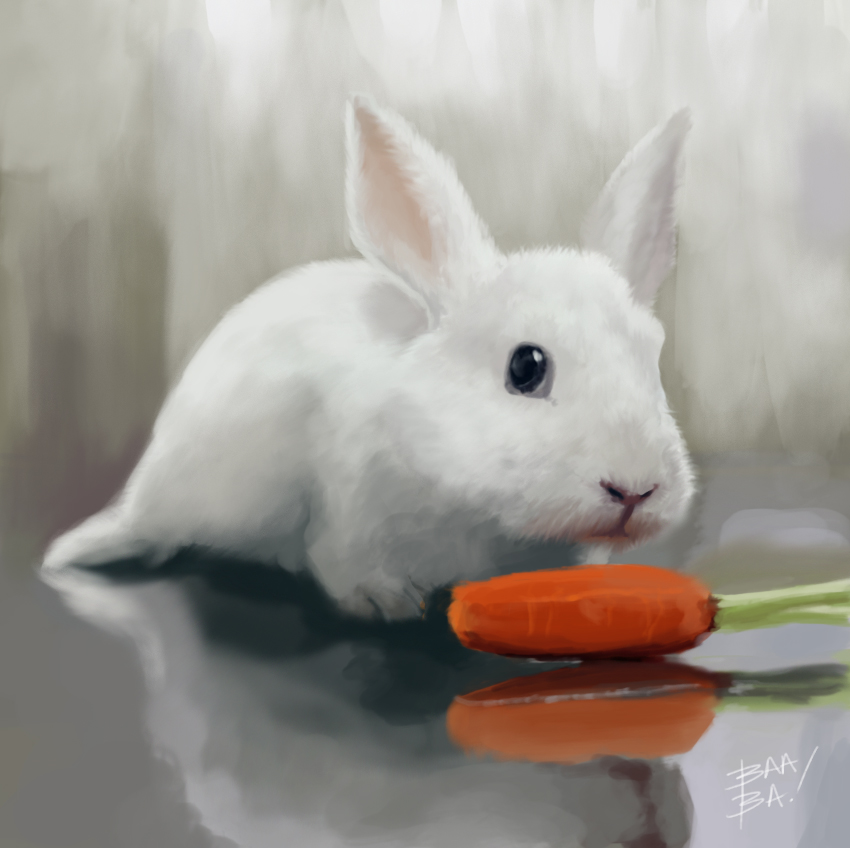 Bunny Study