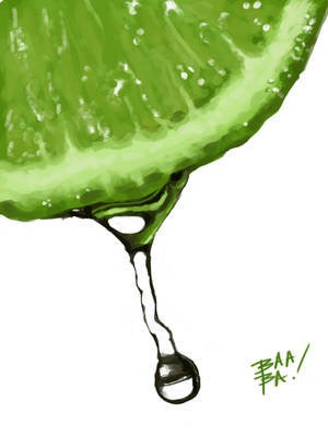 Lime Study