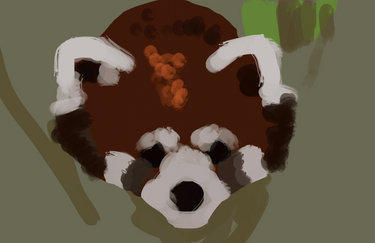 Red Panda Study Process