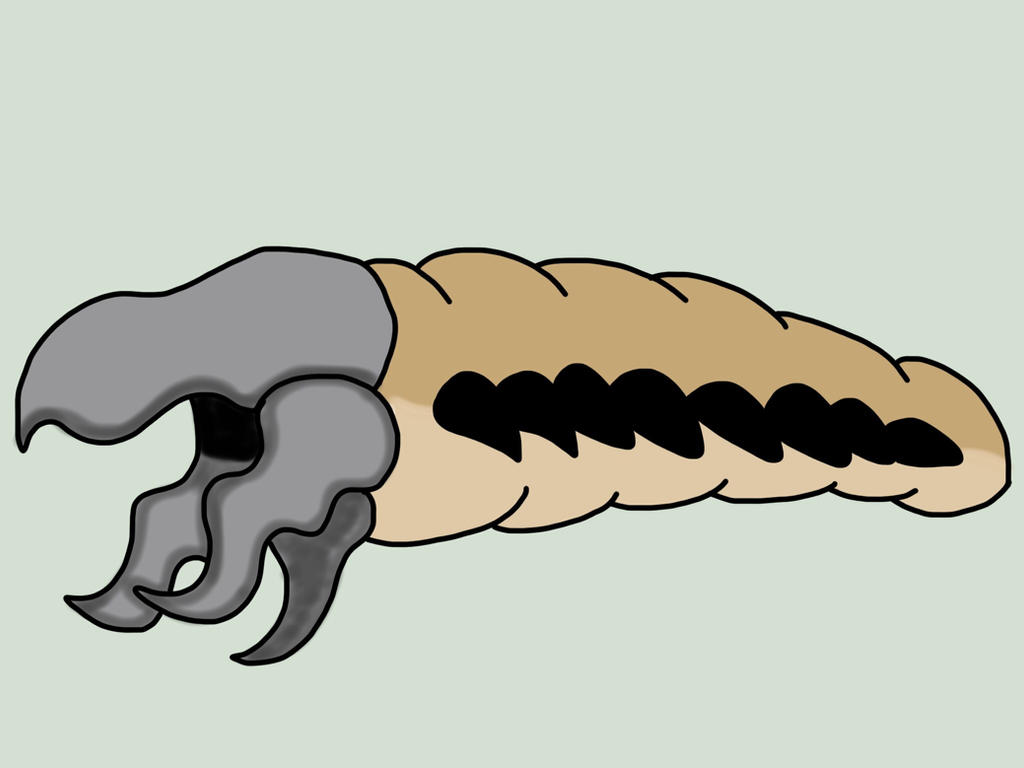 Baby pyro by Angrybird54 on DeviantArt