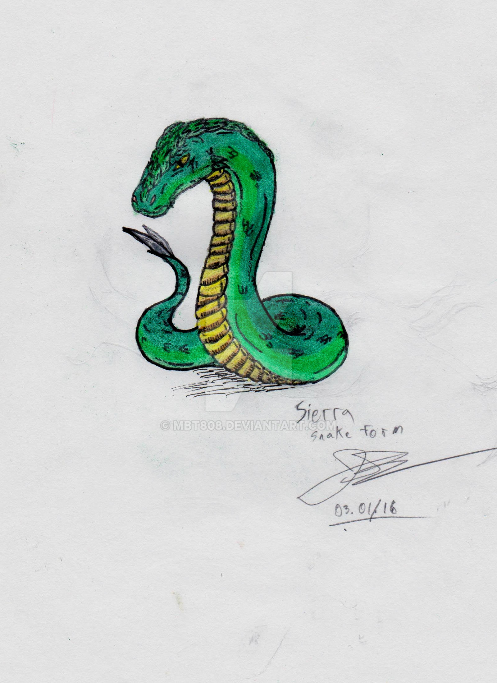 Sierra, medusa snake(snake form) by MBT808 on DeviantArt