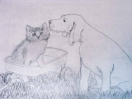 Puppy and Kitten Drawing