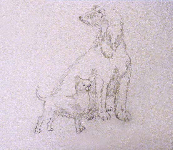 Irish Wolfhound and Chihuahua