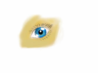 Eye sketch