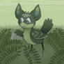 Ferns!