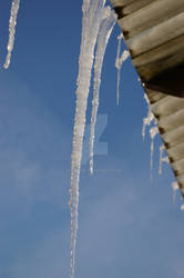 Winter, icicles