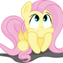 Fluttershy bored