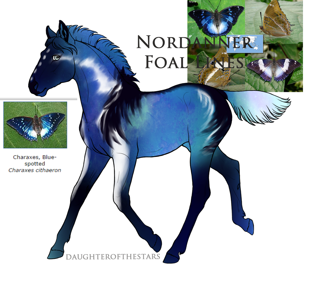 1320 foal design