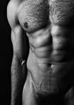Torso by earlera
