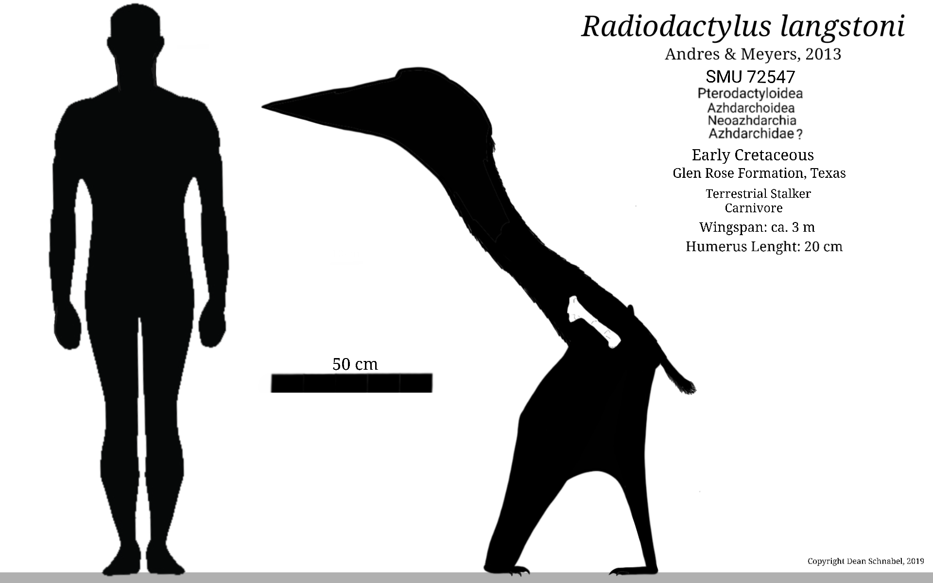 Pterodactylus Skeletal by SassyPaleoNerd on DeviantArt