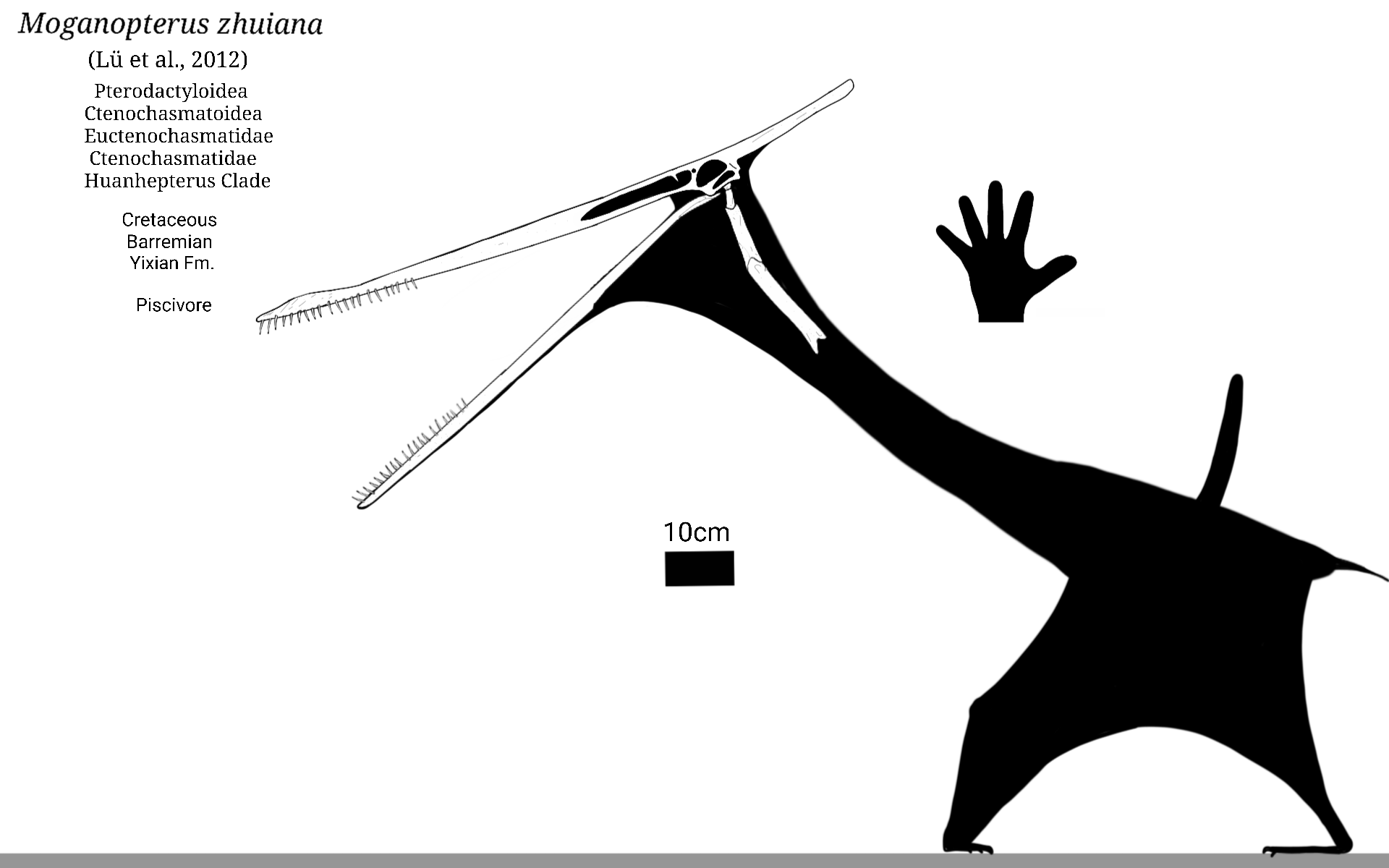 Moganopterus Moganopterus Skeletal by SassyPaleoNerd on DeviantArt