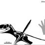 Dimorphodon Skeletal